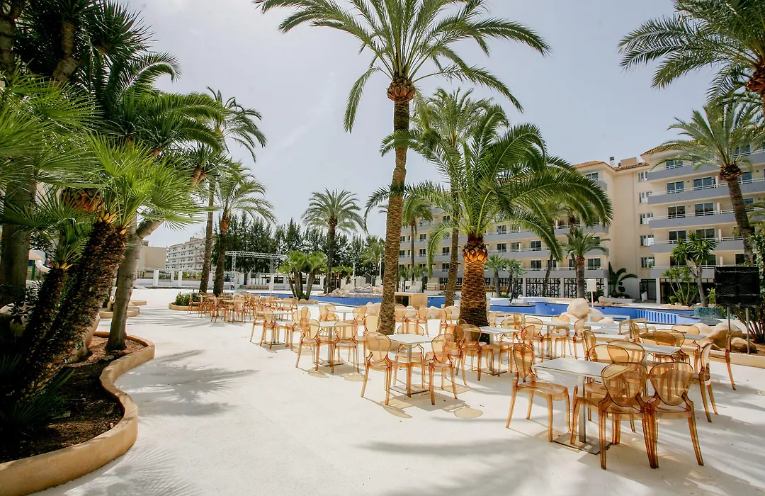 Bh Club Mallorca - Adults Only-1